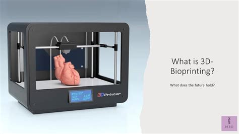 3D Bioprinting: Process, Types, and Applications - My Biology Dictionary