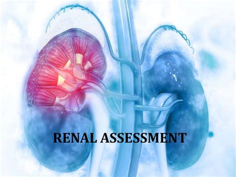 Renal Assessment | PPT