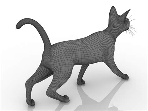 Cat 3D model Download for Free