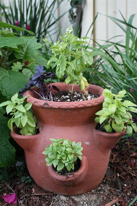 Awesome 10+ Containers Herbs Garden Ideas https://gardenmagz.com/10 ...