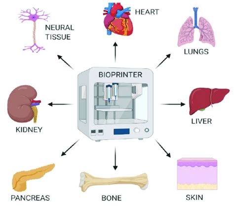 Design and generation of various tissues or organs using 3D-Bioprinting... | Download Scientific ...