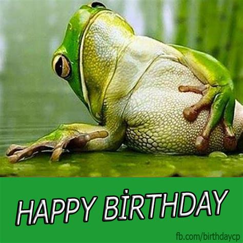 Birthday greeting card with the frog - a327 - Birthday Wishes Cards