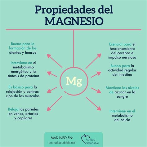 Las beneficiosas propiedades del magnesio | Recetas para la salud ...