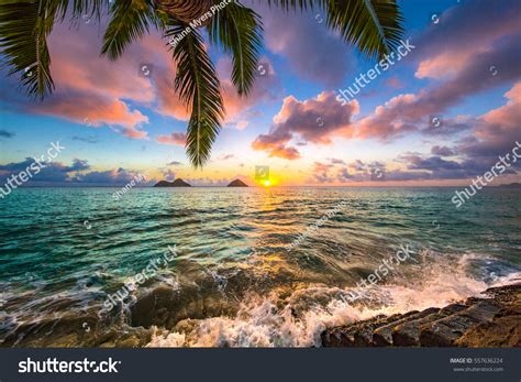 10,211 Hawaiian sunrise Images, Stock Photos & Vectors | Shutterstock