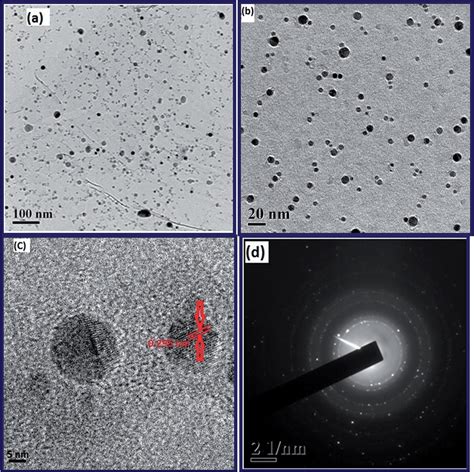 Transmission electron microscopy images at (a) 100 nm resolution (b) 20... | Download Scientific ...