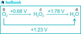 Understanding Disproportionation Reaction - Definition, Examples, FAQs