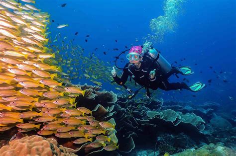 Best Diving Sites of El Nido - Tabanka Divers - El Nido - Palawan