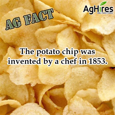 The Interesting History of the Potato Chip