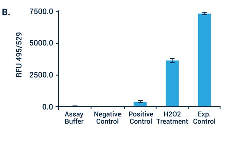 Reactive Oxygen Species (ROS) Detection Assay Kit (BN01103)