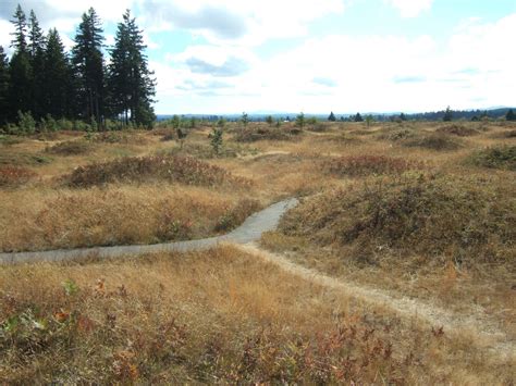 Reading the Washington Landscape: Geologic Pilgrimage: Mima Mounds