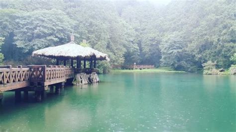 Alishan National Scenic Area, Chiayi | Ticket Price | Timings | Address ...