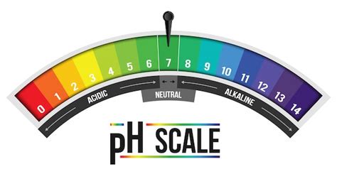 Ph scale value infographic, litmus paper element. Vector | Premium Download