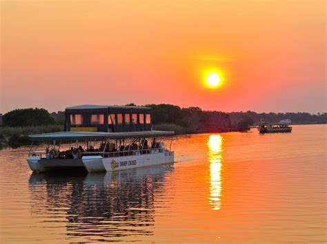 Zambezi Sunset Cruise - Experience the African Sun in Victoria Falls | Sunset cruise, Victoria ...