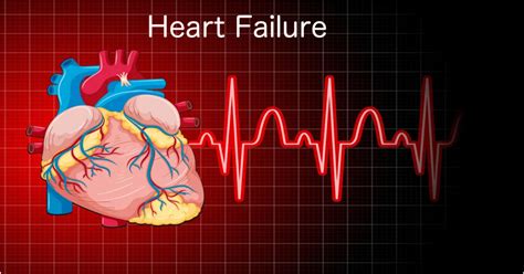 Understanding Heart Failure: Causes, Symptoms, and Treatment - Your ...