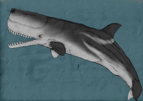 Seas of the past: Melville's Leviathan by Austroraptor on DeviantArt