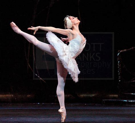 Marianela Nunez as Odette in Swan Lake. Photo by Elliott Franks | Royal ballet, Swan lake ...