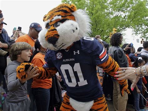 PHOTO: Auburn mascot stands alone | theScore.com