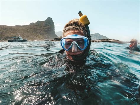 A Guide to Snorkeling with Seals in Cape Town. | TVHM