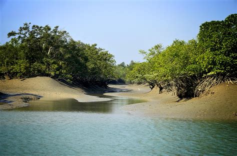 Sundarban Tour Package.(Sundarba Nature Tour) Suraj Das Mob :- 9932780889. visit: http://www ...