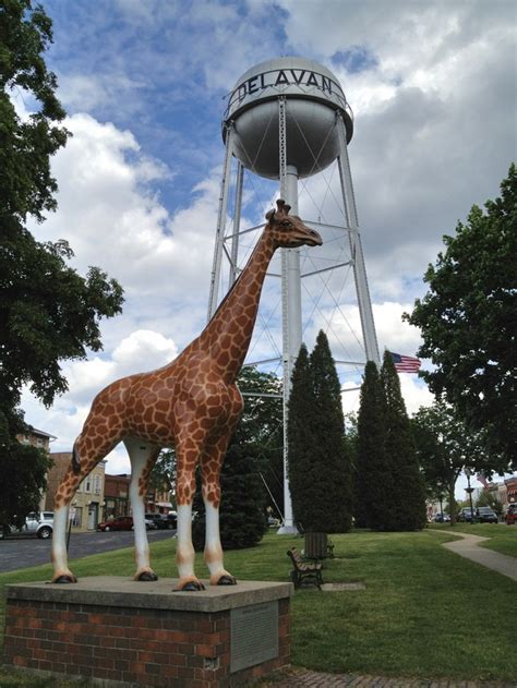 Giraffe at Delavan WI | Roadside attractions, Walworth, Delavan wisconsin