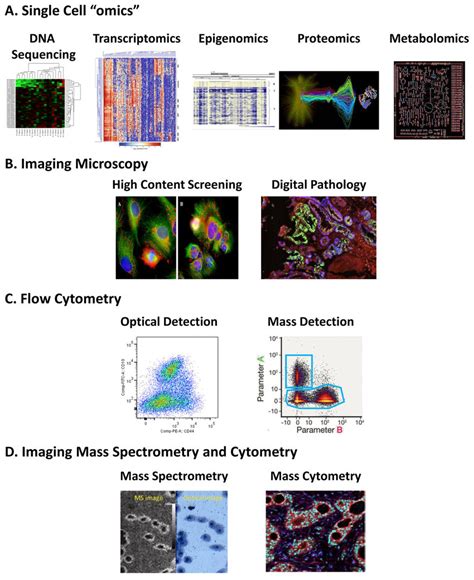 Heterogeneity in populations of cells can be quantified by a variety of ...