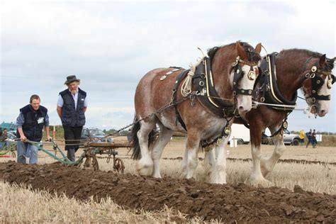 Ploughing through the years - Agriland.ie