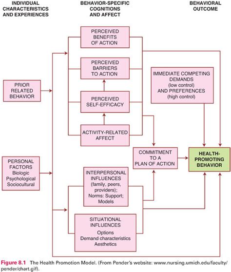 What Is A Theoretical Framework For Nursing Practice | Webframes.org