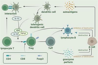 Frontiers | Mechanisms and therapeutic strategies of immune checkpoint ...