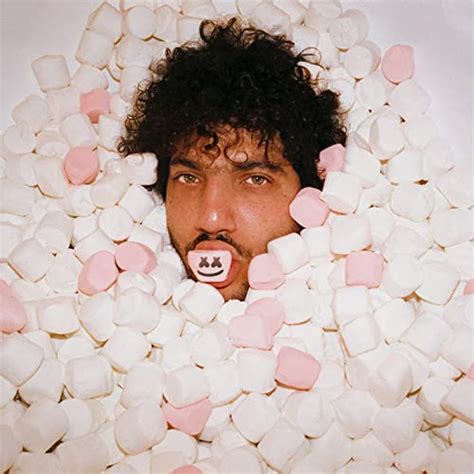 Benny Blanco - Roses Lyrics - Lyrics On Demand