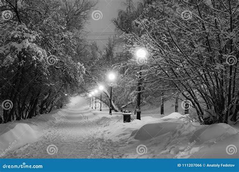 Winter Path in the Park Brought by Snow Stock Photo - Image of forest ...