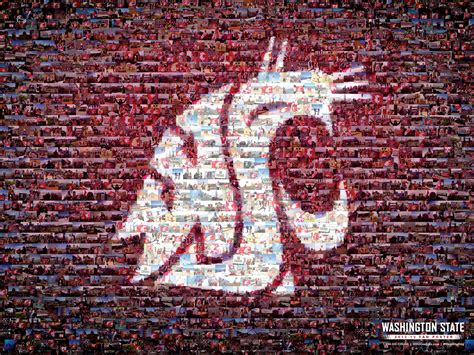 🔥 [50+] WSU Cougar Wallpapers | WallpaperSafari