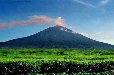 INDONESIA KERINCI TOURISM: Gunung Kerinci