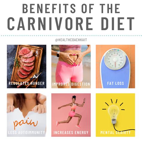 How to Start the Carnivore Diet - Health Coach Kait | Insulin Resistance Health Coach