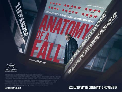 Anatomy of a Fall - Curzon Cinema & Arts