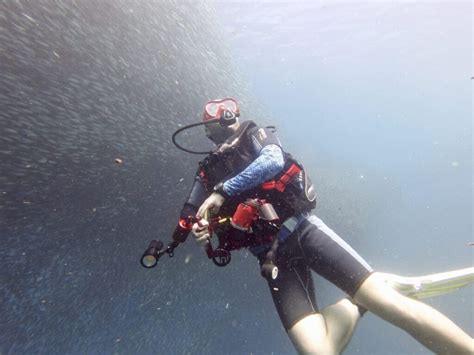 Cebu Diving - Diving Squad