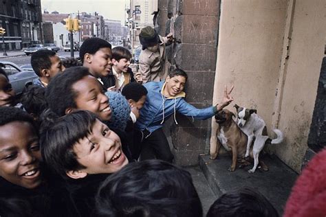 Bronx Trilogy: The Bronx Was Burning (1955 to today) - The Bowery Boys ...