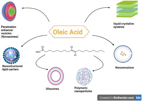 Oleic Acid Benefits And Oleic Acid Foods Sources