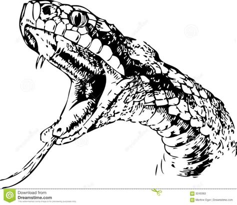 Illustration about Snake sketch in black and white. Illustration of ...