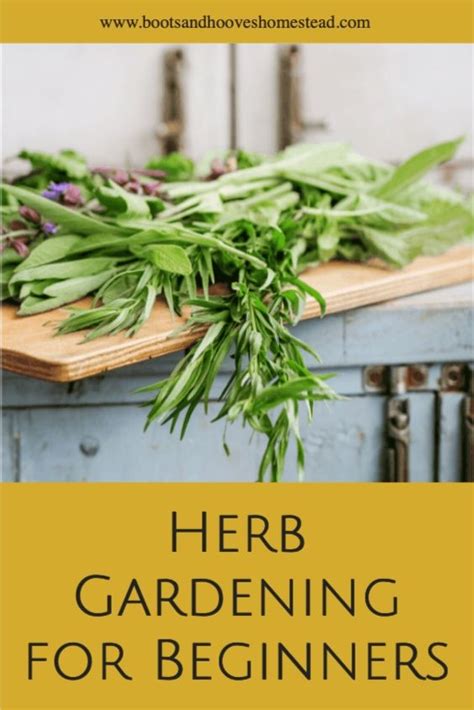 How to Grow Herbs: An Herb Gardening Guide for Beginners - Boots & Hooves Homestead | Home ...