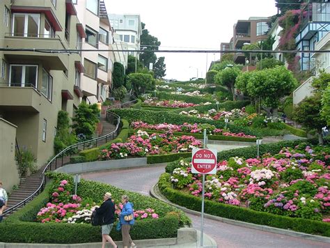 Painted Ladies Tour Company