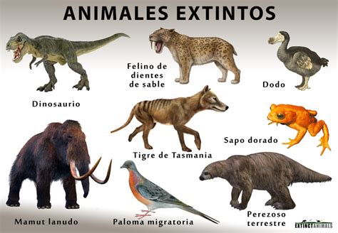 Animales extintos: Definición de extinción y una lista de especias comunes ya extintas