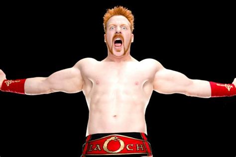 Sheamus: 7 Fun Facts About the WWE's Celtic Warrior | Bleacher Report