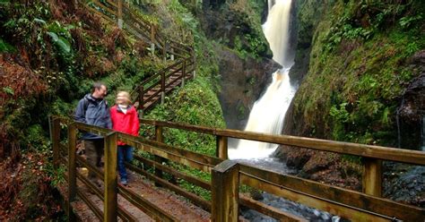 Glenariff Forest Park - Cargan - Discover Northern Ireland