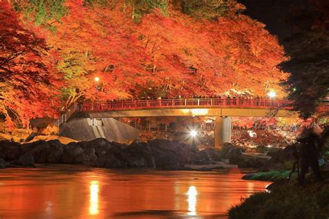 令人感动的秋季邂逅之旅 日本五大最值得观光的“11月美景”｜绝景日本