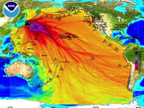 Tracking A Tsunami Barreling Across The Ocean | KUNC