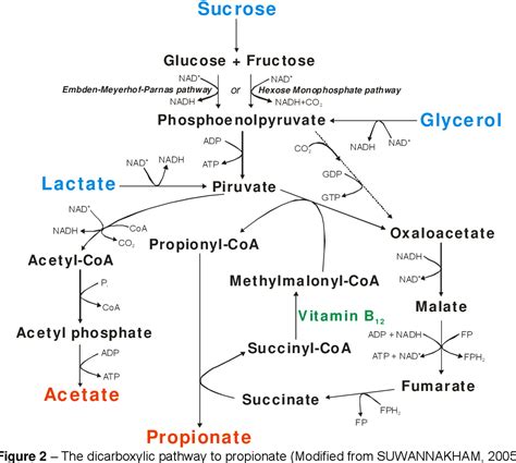 Figure 2 from Propionic acid production by Propionibacterium sp. using low-cost carbon sources ...