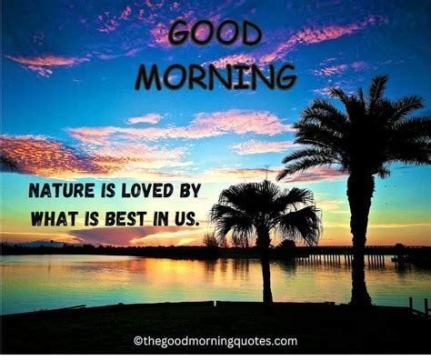 54+ Beautiful Good Morning Nature Quotes - Good Morning Quotes