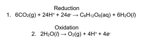 Redox and photosynthesis: A simple concept, a complicated procedure