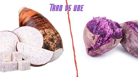 Taro vs Ube: What's the difference? | BonTea Cafe