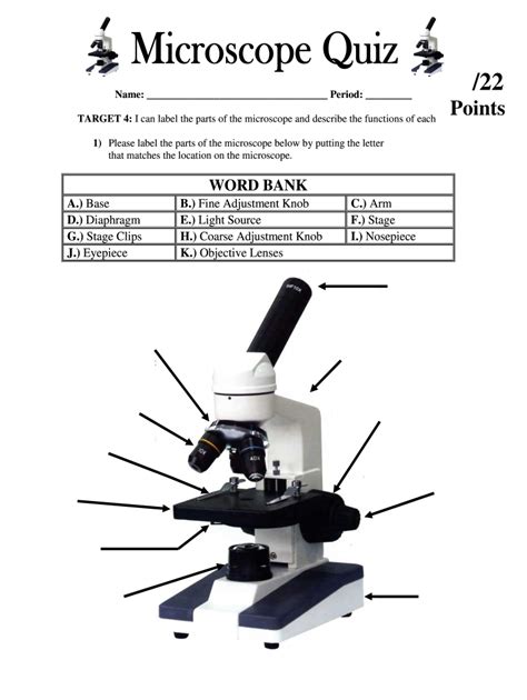 Microscope Parts And Use Worksheet – Imsyaf.com